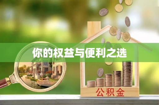 昆都仑你的权益与便利之选