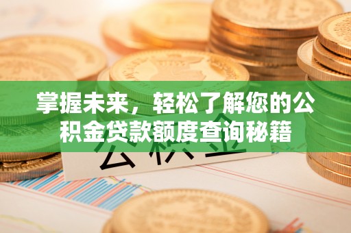 昆都仑掌握未来，轻松了解您的公积金贷款额度查询秘籍