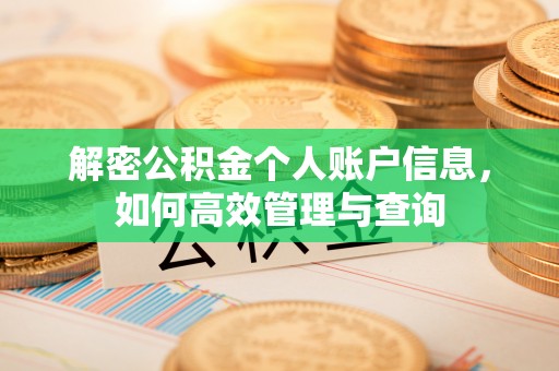 昆都仑解密公积金个人账户信息，如何高效管理与查询
