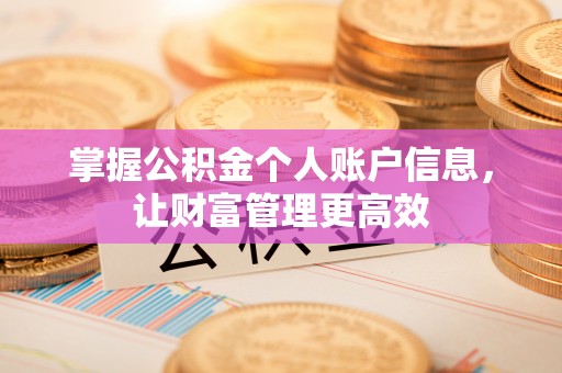 昆都仑掌握公积金个人账户信息，让财富管理更高效