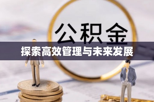 昆都仑探索高效管理与未来发展