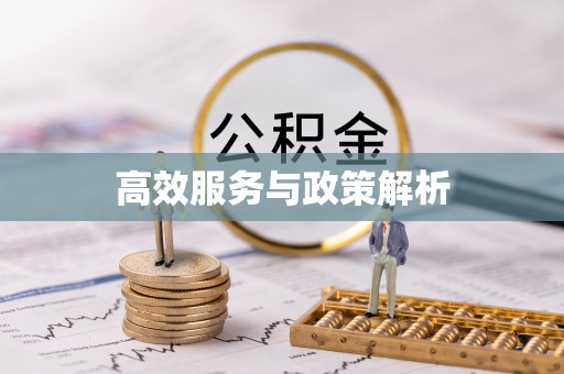 昆都仑高效服务与政策解析