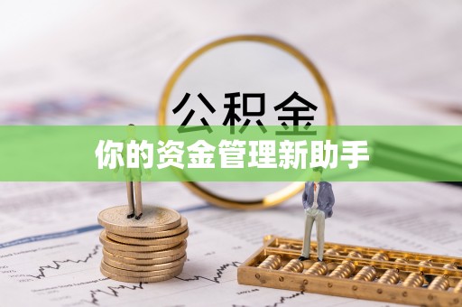 昆都仑你的资金管理新助手