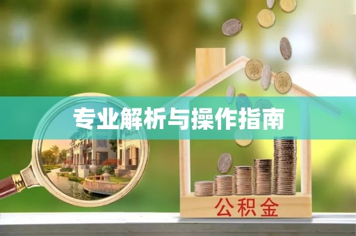 昆都仑专业解析与操作指南
