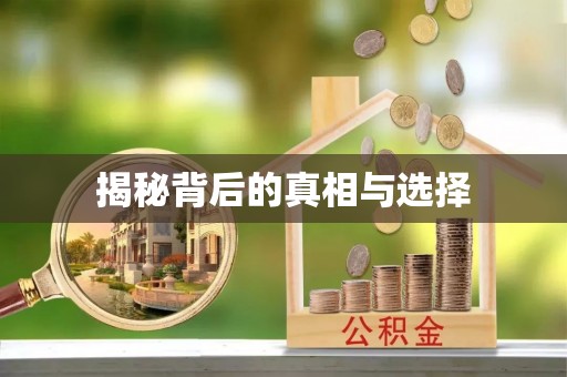 昆都仑揭秘背后的真相与选择