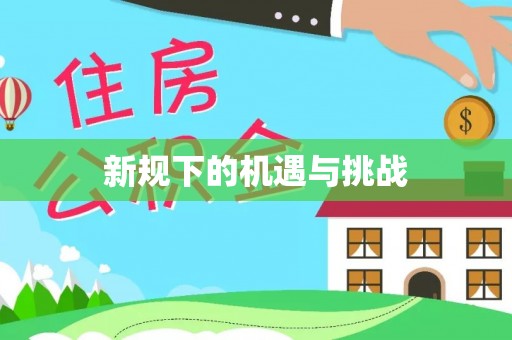 昆都仑新规下的机遇与挑战