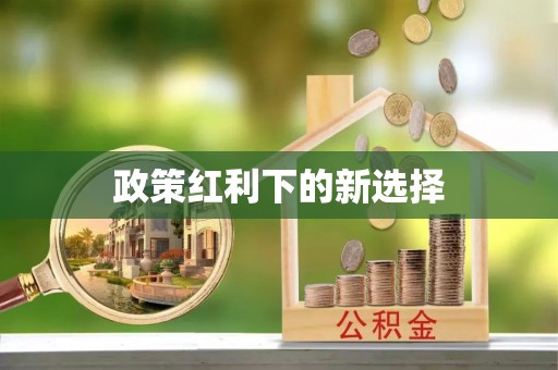 昆都仑政策红利下的新选择