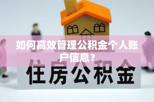 昆都仑如何高效管理公积金个人账户信息？