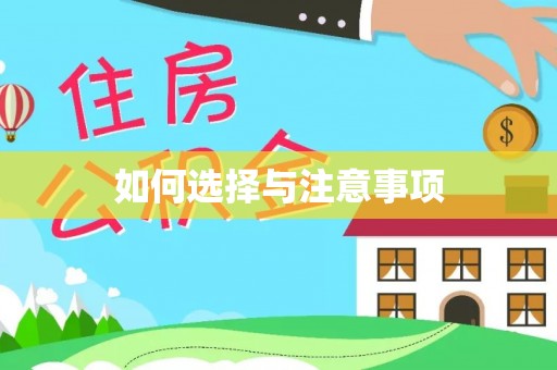 昆都仑如何选择与注意事项