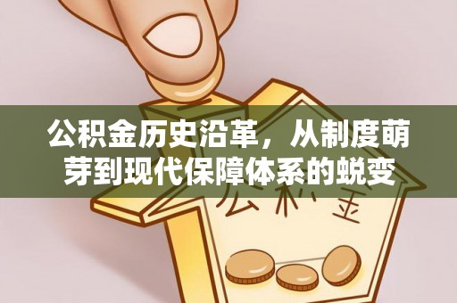 昆都仑公积金历史沿革，从制度萌芽到现代保障体系的蜕变