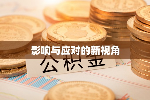 昆都仑影响与应对的新视角