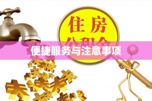 昆都仑便捷服务与注意事项