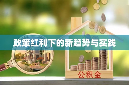 昆都仑政策红利下的新趋势与实践
