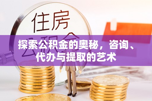 昆都仑探索公积金的奥秘，咨询、代办与提取的艺术